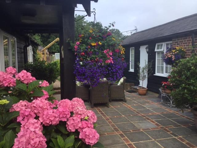 The Coach House Bed and Breakfast Rudgwick Eksteriør billede